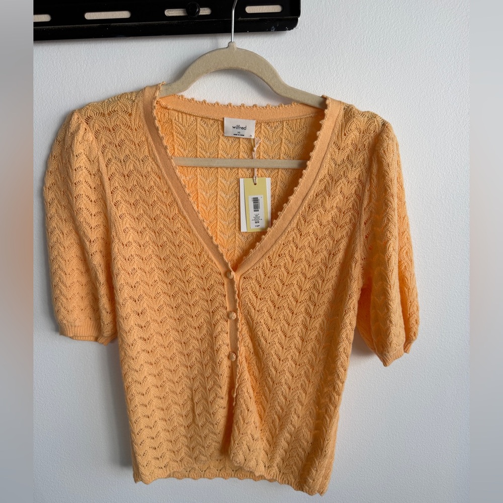 Wilfred knit top